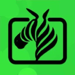 斑马视频无广告最新版本