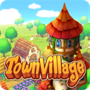 Town Village安装器